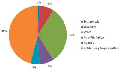 Diagnostic yield and variant reassessment in the genes encoding Nav1.5 channel in Russian patients with Brugada syndrome